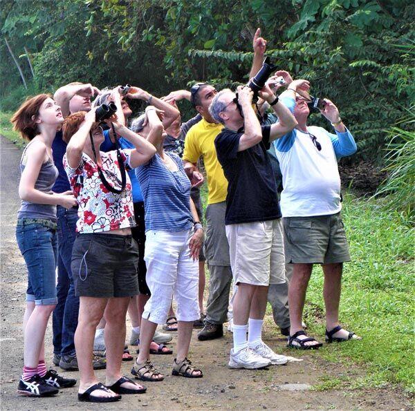 Photo of a group of birding enthusiasts